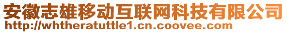 安徽志雄移動互聯(lián)網(wǎng)科技有限公司