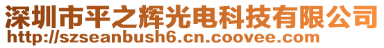 深圳市平之輝光電科技有限公司