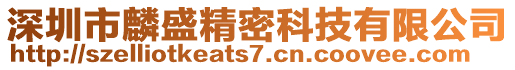 深圳市麟盛精密科技有限公司