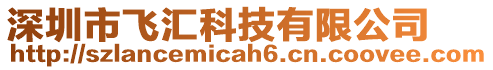 深圳市飛匯科技有限公司