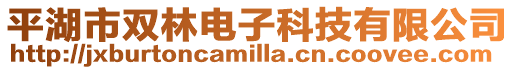 平湖市雙林電子科技有限公司