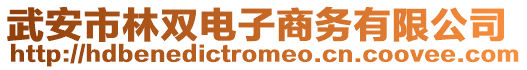 武安市林雙電子商務(wù)有限公司