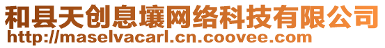 和縣天創(chuàng)息壤網(wǎng)絡(luò)科技有限公司
