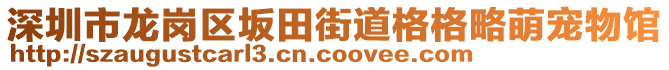 深圳市龍崗區(qū)坂田街道格格略萌寵物館