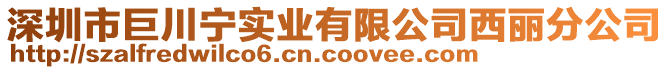 深圳市巨川寧實業(yè)有限公司西麗分公司