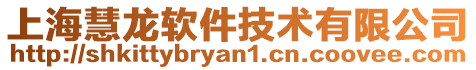 上海慧龍軟件技術(shù)有限公司