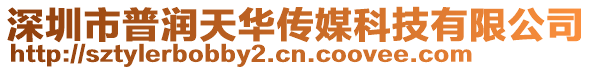深圳市普潤天華傳媒科技有限公司