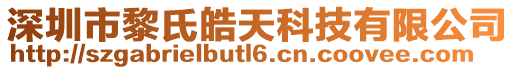 深圳市黎氏皓天科技有限公司