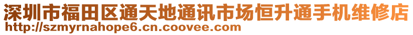 深圳市福田區(qū)通天地通訊市場(chǎng)恒升通手機(jī)維修店