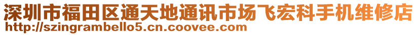 深圳市福田區(qū)通天地通訊市場飛宏科手機(jī)維修店