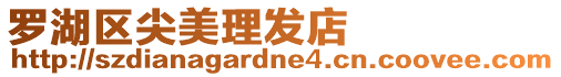 羅湖區(qū)尖美理發(fā)店