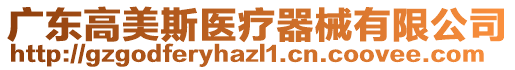 廣東高美斯醫(yī)療器械有限公司