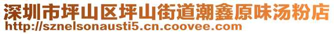 深圳市坪山區坪山街道潮鑫原味湯粉店
