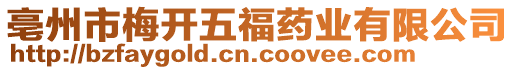 亳州市梅開五福藥業有限公司