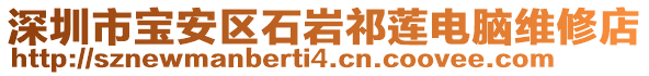 深圳市寶安區(qū)石巖祁蓮電腦維修店