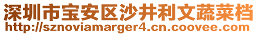 深圳市寶安區(qū)沙井利文蔬菜檔