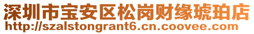 深圳市寶安區松崗財緣琥珀店