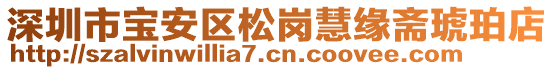 深圳市寶安區(qū)松崗慧緣齋琥珀店