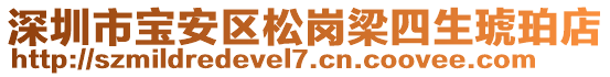 深圳市寶安區(qū)松崗梁四生琥珀店