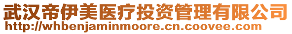 武漢帝伊美醫(yī)療投資管理有限公司