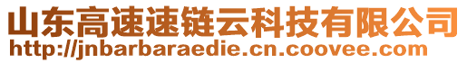 山東高速速鏈云科技有限公司