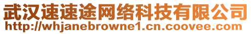 武漢速速途網(wǎng)絡(luò)科技有限公司