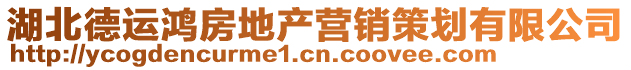 湖北德運鴻房地產營銷策劃有限公司