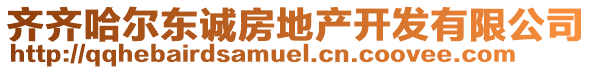 齊齊哈爾東誠房地產(chǎn)開發(fā)有限公司