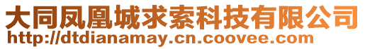 大同鳳凰城求索科技有限公司