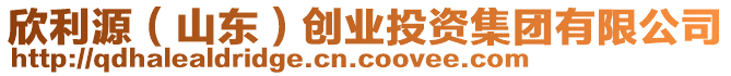 欣利源（山東）創(chuàng)業(yè)投資集團(tuán)有限公司