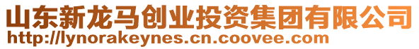 山東新龍馬創業投資集團有限公司