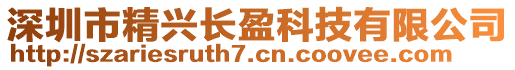 深圳市精興長盈科技有限公司