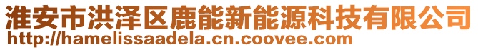 淮安市洪澤區(qū)鹿能新能源科技有限公司