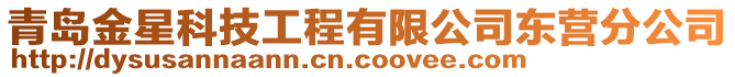 青島金星科技工程有限公司東營分公司