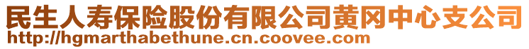 民生人壽保險(xiǎn)股份有限公司黃岡中心支公司