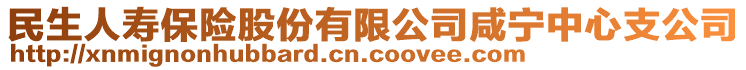 民生人壽保險(xiǎn)股份有限公司咸寧中心支公司