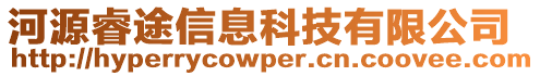 河源睿途信息科技有限公司