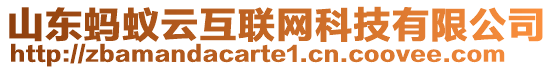 山東螞蟻云互聯(lián)網(wǎng)科技有限公司