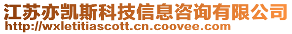 江蘇亦凱斯科技信息咨詢有限公司