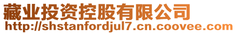 藏業(yè)投資控股有限公司