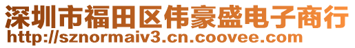 深圳市福田區(qū)偉豪盛電子商行