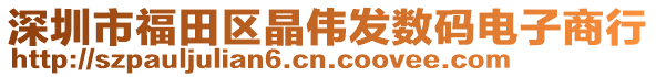 深圳市福田區晶偉發數碼電子商行