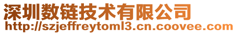 深圳數鏈技術有限公司