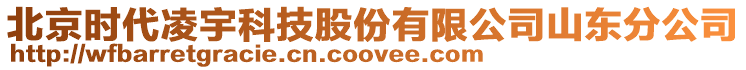 北京時(shí)代凌宇科技股份有限公司山東分公司