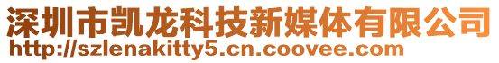 深圳市凱龍科技新媒體有限公司