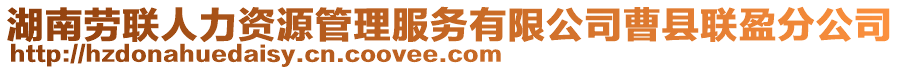 湖南勞聯(lián)人力資源管理服務(wù)有限公司曹縣聯(lián)盈分公司