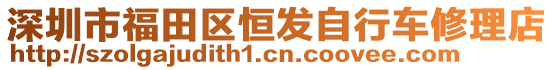 深圳市福田區(qū)恒發(fā)自行車修理店