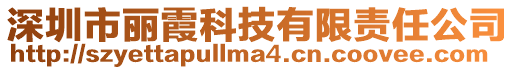深圳市麗霞科技有限責任公司