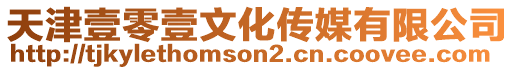 天津壹零壹文化傳媒有限公司