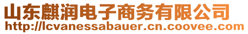 山東麒潤(rùn)電子商務(wù)有限公司